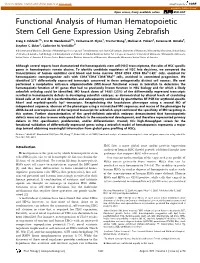Functional Analysis of Human Hematopoietic Stem Cell Gene Expression Using Zebrafish