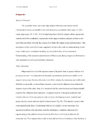 General Principles the Acetabular Index and Center-Edge Angles