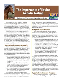 The Importance of Equine Genetic Testing