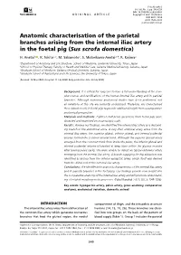 Download PDF File