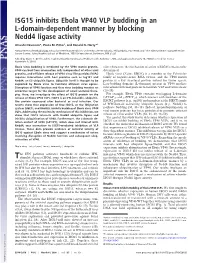 ISG15 Inhibits Ebola VP40 VLP Budding in an L-Domain-Dependent Manner by Blocking Nedd4 Ligase Activity