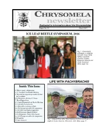 Newsletter Dedicated to Information About the Chrysomelidae Report No