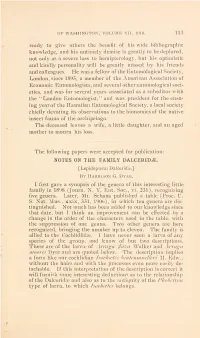 Notes on the Family Dalcerid^E