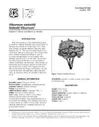 Viburnum Sieboldii Siebold Viburnum1 Edward F