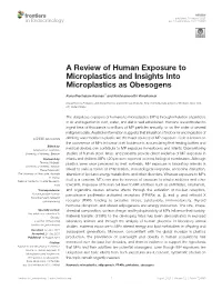 A Review of Human Exposure to Microplastics and Insights Into Microplastics As Obesogens