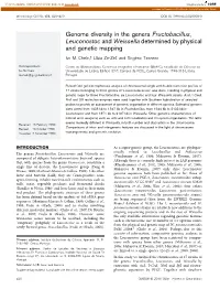 Genome Diversity in the Genera Fructobacillus, Leuconostoc and Weissella Determined by Physical and Genetic Mapping