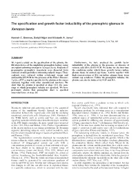 Glomus Specification and Induction in Xenopus