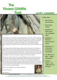 VWT E-Newsletter July 2011