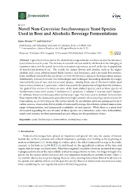 Novel Non-Cerevisiae Saccharomyces Yeast Species Used in Beer and Alcoholic Beverage Fermentations