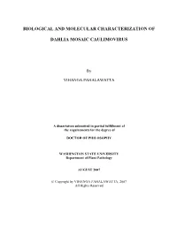 Biological and Molecular Characterization of Dahlia Mosaic Caulimovirus Abstract