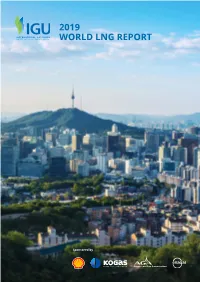 2019 World Lng Report