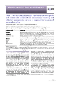 Effect of Interaction Between Acute Administration of Morphine