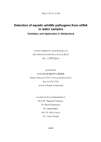 Published Version