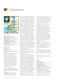 Cyb Template 2012