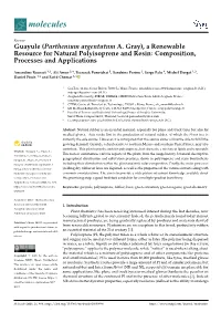 Guayule (Parthenium Argentatum A. Gray), a Renewable Resource for Natural Polyisoprene and Resin: Composition, Processes and Applications