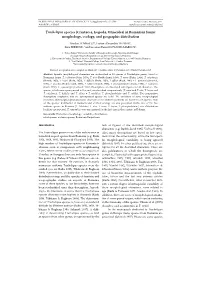 Trachelipus Species (Crustacea, Isopoda, Oniscidea) in Romanian Fauna: Morphology, Ecology, and Geographic Distribution