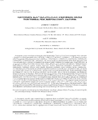 2Cl3•H2O, a NEW MINERAL SPECIES FROM