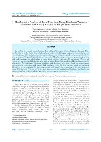 Morphometric Analysis of Local Fish from Banyu Biru Lake, Pasuruan Compared with Closely Related to Tor Spp