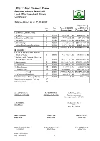 P&L Balance Sheet