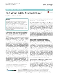 Q&A: Where Did the Neanderthals
