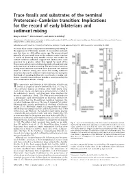 Trace Fossils and Substrates of the Terminal Proterozoic–Cambrian Transition: Implications for the Record of Early Bilaterians and Sediment Mixing