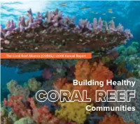 Building Healthy Communities