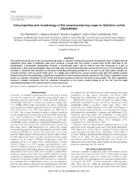 Call Properties and Morphology of the Sound-Producing Organ in Ophidion Rochei (Ophidiidae)
