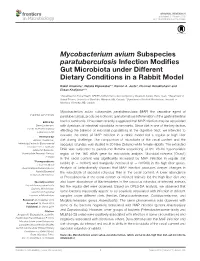 Mycobacterium Avium Subspecies Paratuberculosis Infection Modifies Gut Microbiota Under Different Dietary Conditions in a Rabbit