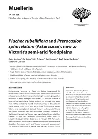Pluchea Rubelliﬂora and Pterocaulon Sphacelatum