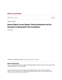 Beyond Dakota Access Pipeline: Energy Development and the Imperative for Meaningful Tribal Consultation