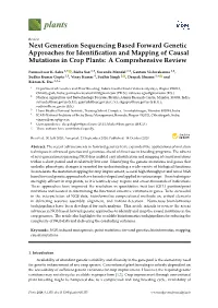 Next Generation Sequencing Based Forward Genetic Approaches for Identiﬁcation and Mapping of Causal Mutations in Crop Plants: a Comprehensive Review