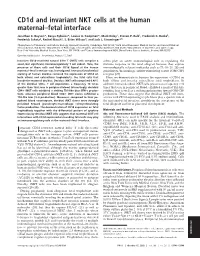 Cd1d and Invariant NKT Cells at the Human Maternal–Fetal Interface