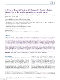 Codon Usage Bias in the Model Moss Physcomitrella Patens