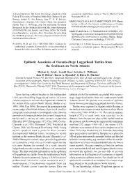 Epibiotic Associates of Oceanic-Stage Loggerhead Turtles from the Southeastern North Atlantic
