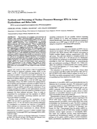 Synthesis and Processing Ofnuclear Precursor-Messenger RNA in Avian