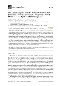 The Uropathogenic Specific Protein Gene Usp from Escherichia Coli And