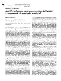 Apaf-1/Cytochrome C Apoptosome: an Essential Initiator of Caspase Activation Or Just a Sideshow?
