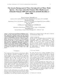 The Genetic Background of Three Introduced Leaf Miner Moth