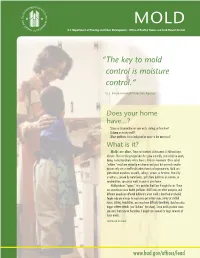 “The Key to Mold Control Is Moisture Control.”