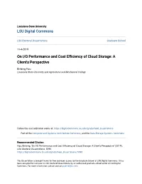 On I/O Performance and Cost Efficiency of Cloud Orst Age: a Client's Perspective