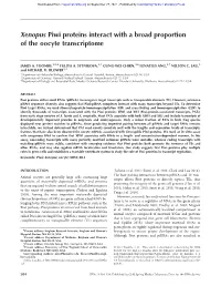 Xenopus Piwi Proteins Interact with a Broad Proportion of the Oocyte Transcriptome