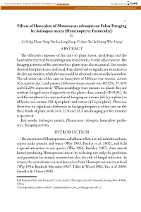 Effects of Honeydew of Phenacoccus Solenopsis on Foliar Foraging By