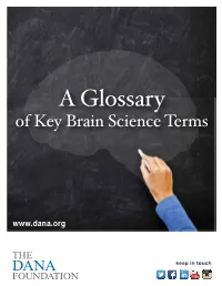 Glossary of Key Brain Science Terms