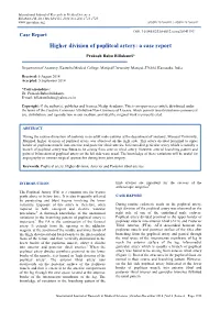 Higher Division of Popliteal Artery: a Case Report