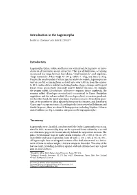 Introduction to the Lagomorpha