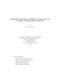 Seshadri Constants and Fujita's Conjecture Via Positive