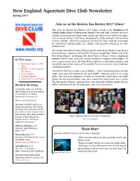 Spring 2017 Newsletter
