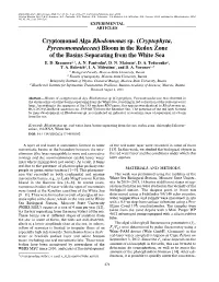 Cryptomonad Alga Rhodomonas Sp. (Cryptophyta, Pyrenomonadaceae) Bloom in the Redox Zone of the Basins Separating from the White Sea E
