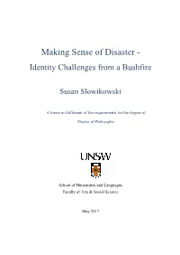 Making Sense of Disaster - Identity Challenges from a Bushfire