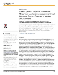 Nuclear Species-Diagnostic SNP Markers Mined from 454 Amplicon Sequencing Reveal Admixture Genomic Structure of Modern Citrus Varieties